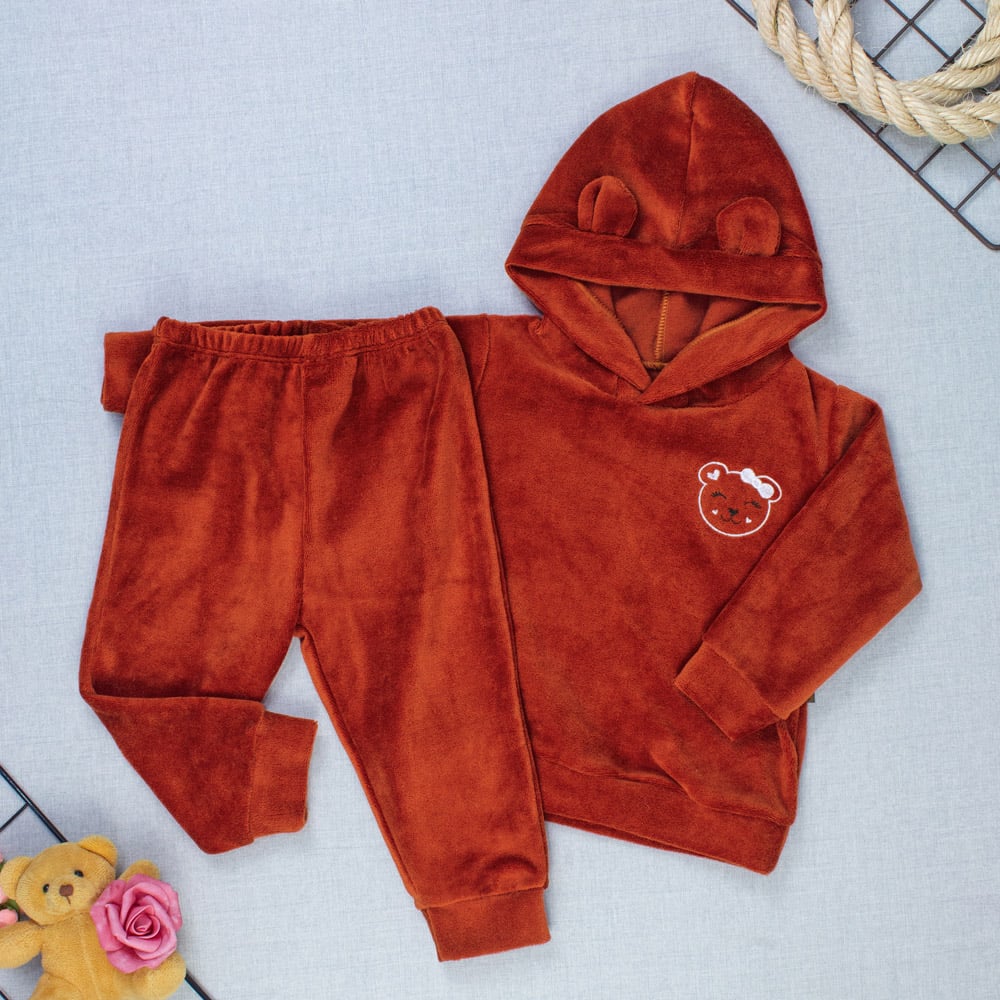 Conjunto Plush Bebê Menina Blusa Com Capuz E Calça